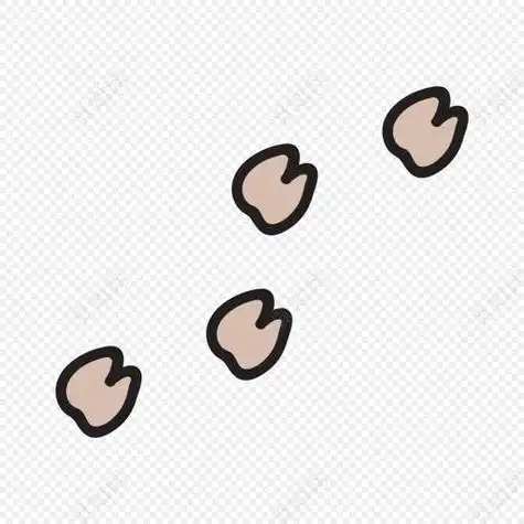 12生肖动物脚印简笔画