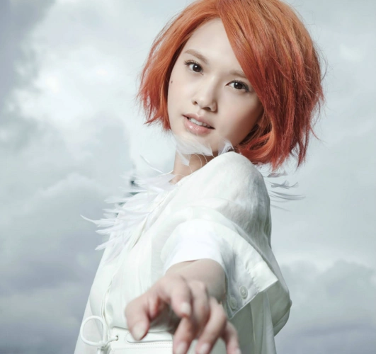 杨丞琳2018青春住了谁巡回演唱会 杭州站网络已经开始订票了