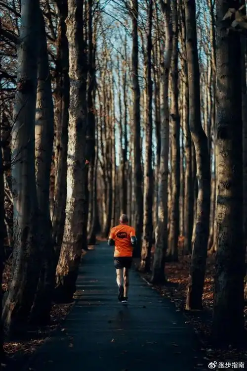 700_1050竖版 竖屏