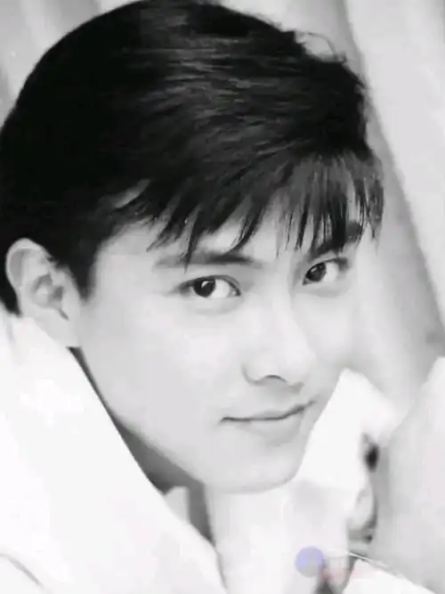 幻想颜之张卫健阳光少年