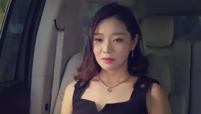 如今被张国立带火|张嘉译|张国立|王维维_新浪新闻