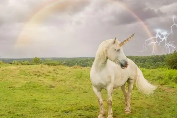 揭秘:独角兽是否是真实存在的?专家:体型长4.5米,重4吨!