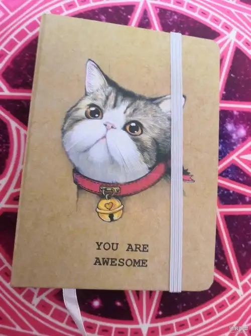 584可爱猫咪手账本-还不叫我女王大人