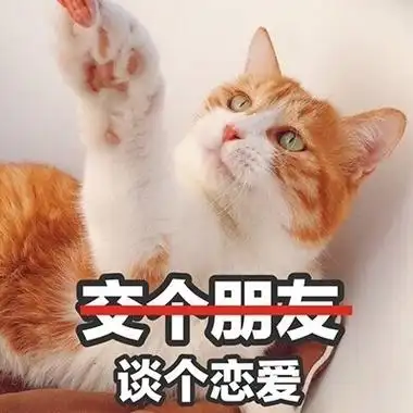 交个朋友谈个恋爱吧