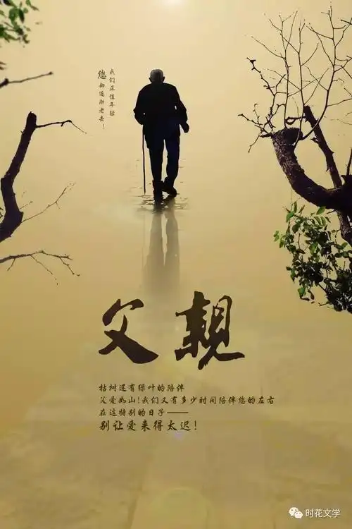 父亲节▏父爱如山是儿女心中的一棵大树