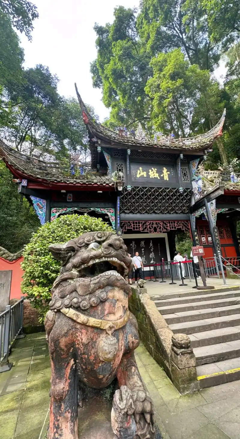 青城山.虽然不高,但是曲曲折折,爬起来太累. 树木葱葱,林立 - 抖音