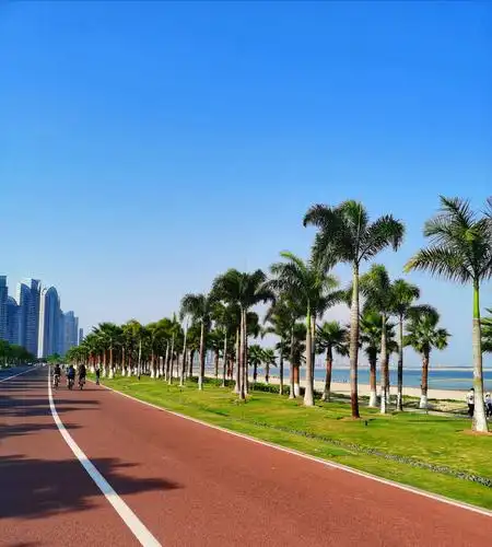 《国际马拉松跑道》 张煜摄