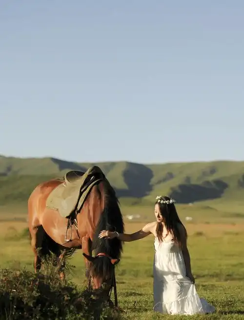 标题:人与马的交流