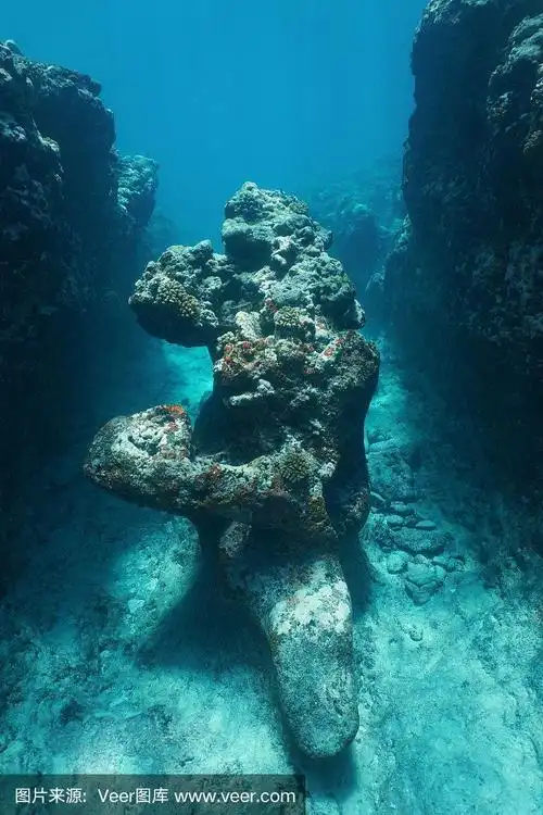 太平洋海底的天然岩层