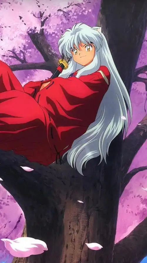 日本经典动漫犬夜叉