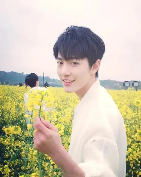 单凭他的一段文字,就说肖战偷税逃税,未免太没有可信度了.