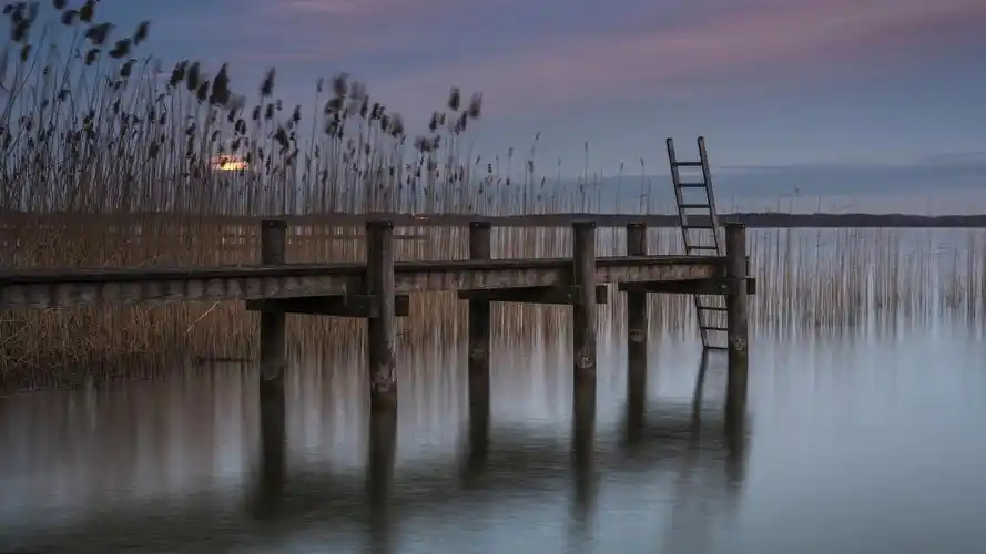 下载壁纸 3840x2160 uhd 4k极清 码头,芦苇,池塘,黄昏 桌面背景