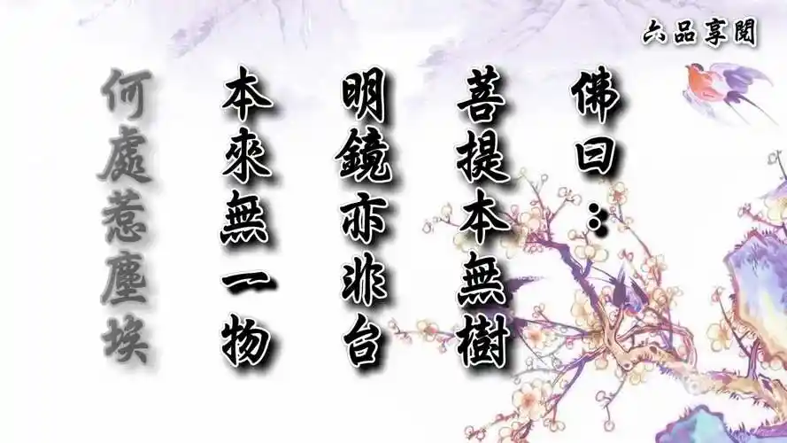 佛教音乐,最火佛歌《【禅语】 - (修心) 》睡不着时多听听,静心-音乐