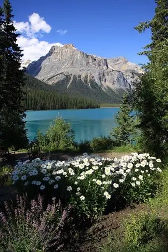 世上总有一片美好的风景使你安静和向往