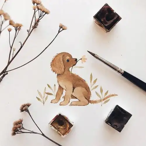 超萌的小动物系列水彩画治愈你的小可爱