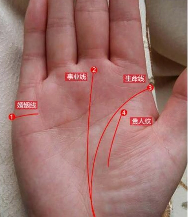 手相儿女线,一生有几子几女一看就知道!