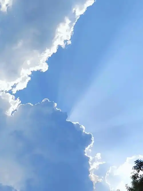 笔记灵感第一张照片是秋天,第二张是冬天,第三张是夏天,光的颜色随