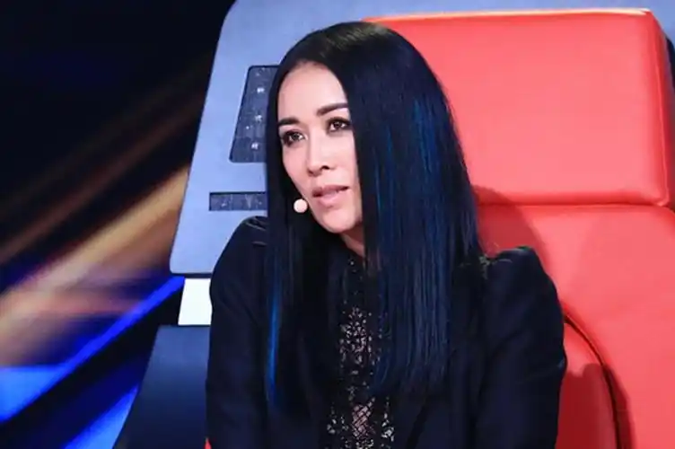 那英因私事中途退出《中国好声音》,将由廖昌永接棒完成后续录制