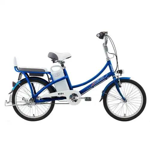 喜德盛电动车 电动自行车48v锂电 锂电池48v电动车 电动自行车 豹子4