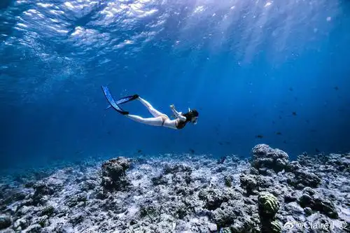 的自由潜水freediving0469谁说蓝色等于忧