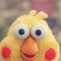 鹦鹉兄弟你这么好看来个红包吧gif动图_动态图_表情包下载_soogif