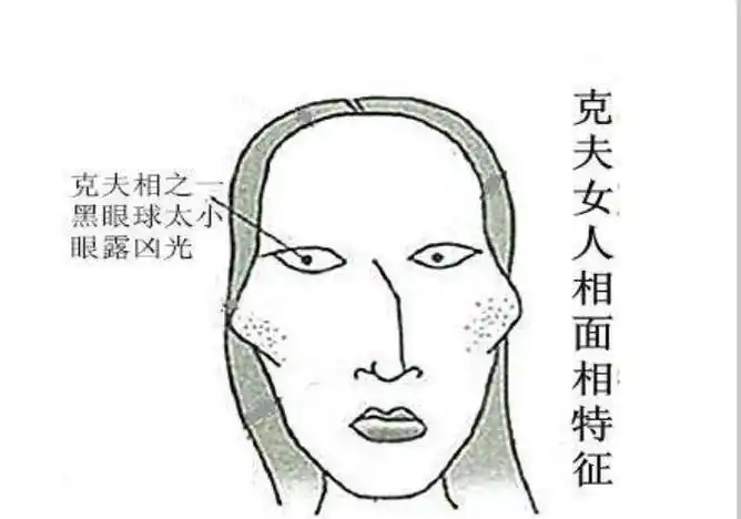 十羊九不全是有根据的吗,女人属羊还克夫? 本文共(1103字)