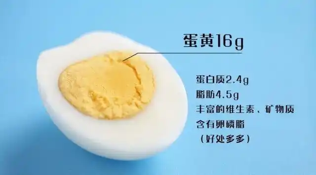 喝蛋白质粉与吃鸡蛋都能补充蛋白质,那么蛋白质粉的意义何在?-农兜网