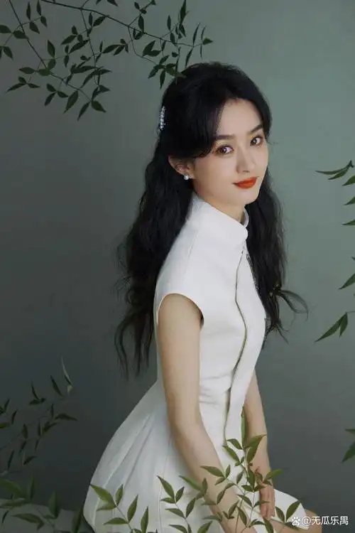 让赵丽颖从"花旦"转型"青衣",在一众八五花里唯一一个和郑晓龙导演