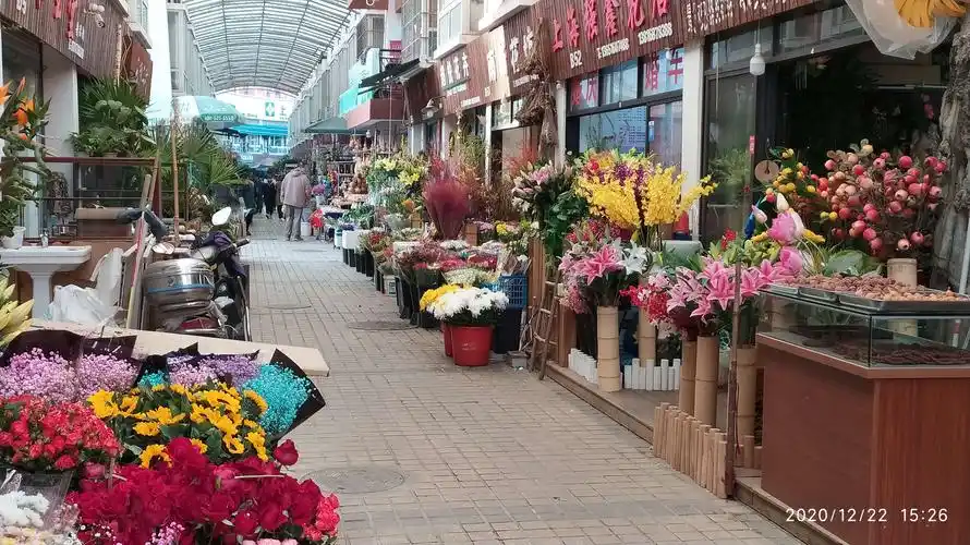 灵石路上的岚灵花鸟市场