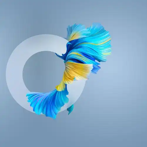 mate40内置壁纸 - 华为主题其他 花粉俱乐部