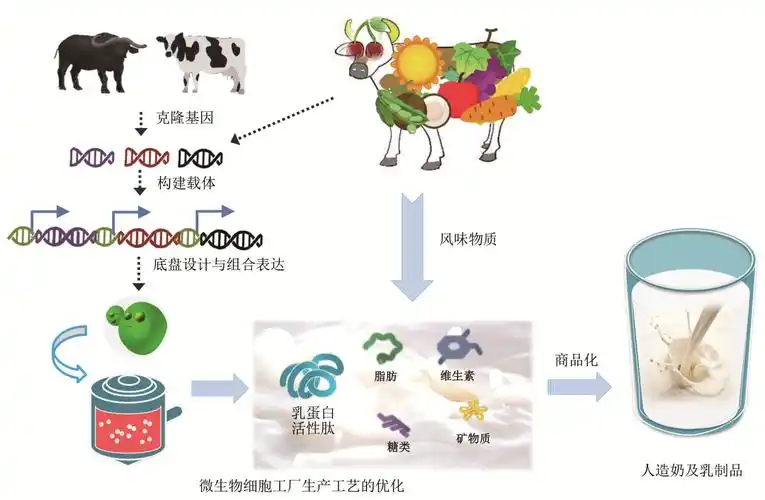 合成生物学乳蛋白重组表达与人造奶生物合成全球专利分析与技术发展
