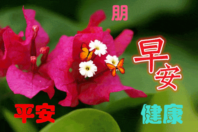 9月11日最漂亮早上好动态表情图片大全早晨好动图美图大全