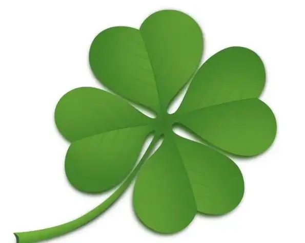 四叶幸运草植物简笔画四叶草