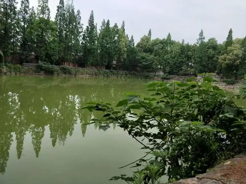 饮马池