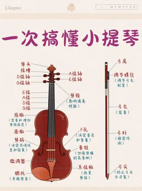 初学小提琴把位图太难一步带你认识小提琴