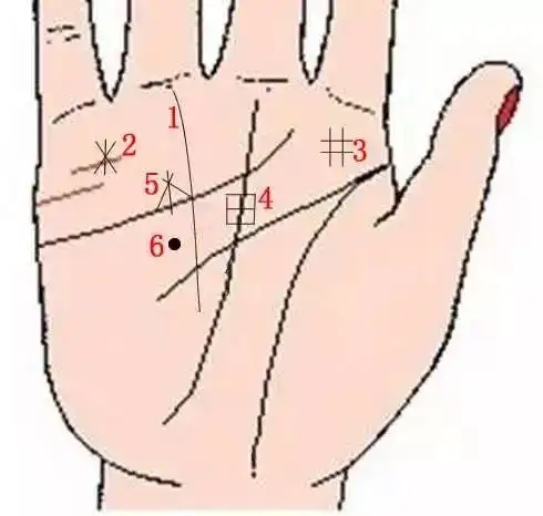 黑子纹(如图所示6)