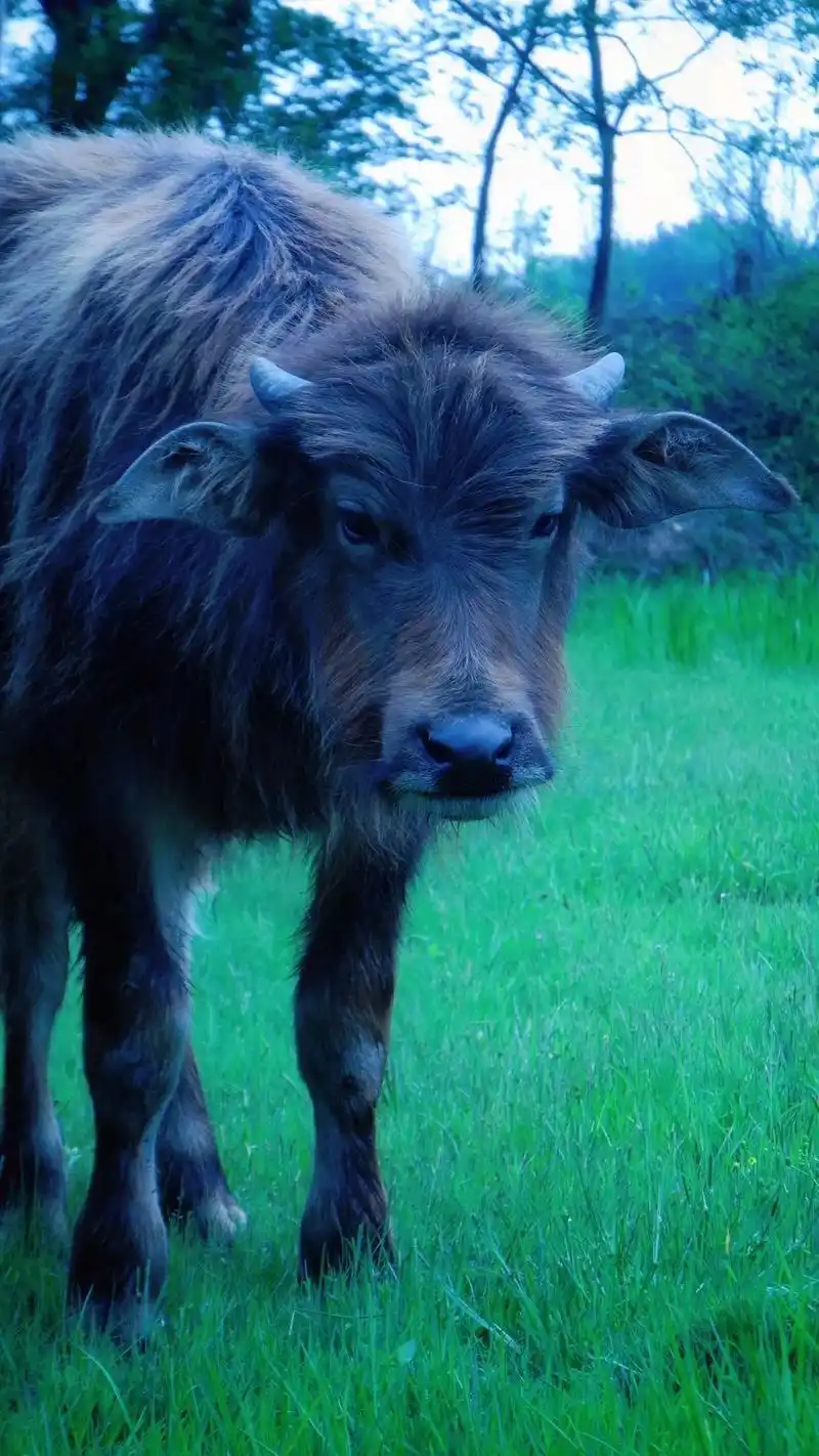 1440_2560竖版 竖屏