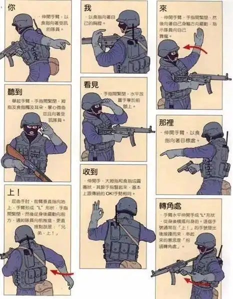 【2019暑期 高端军事营】走进部队小兵成长记