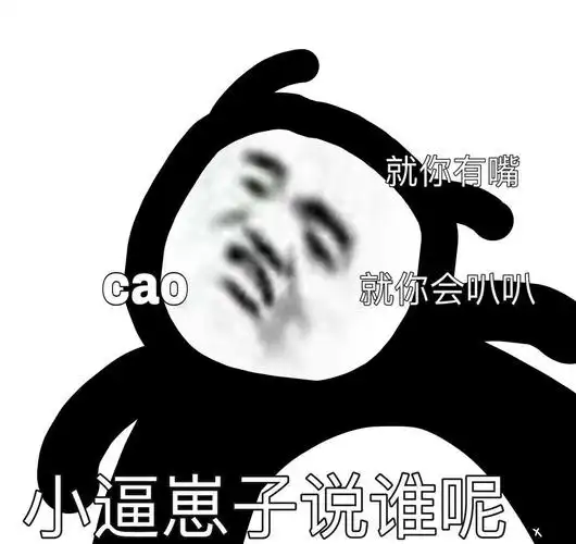 就你有嘴就你会叭叭小逼崽子说谁呢一组沙雕斗图表情包