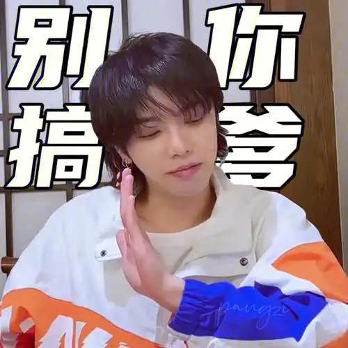 分享一波华晨宇表情包