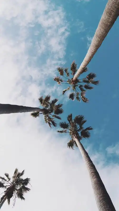 960_1706竖版 竖屏