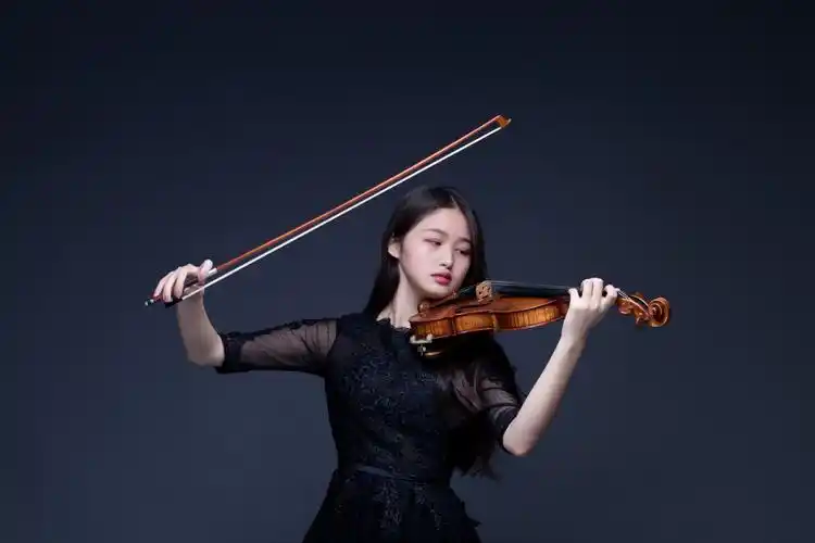 一组优雅高贵的小提琴