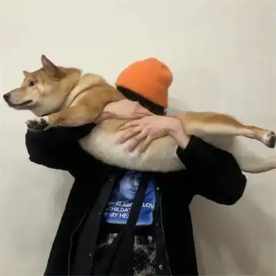 搞怪又不失帅气的个性男生头像图片 高质量小众独一无二微信男头_男生