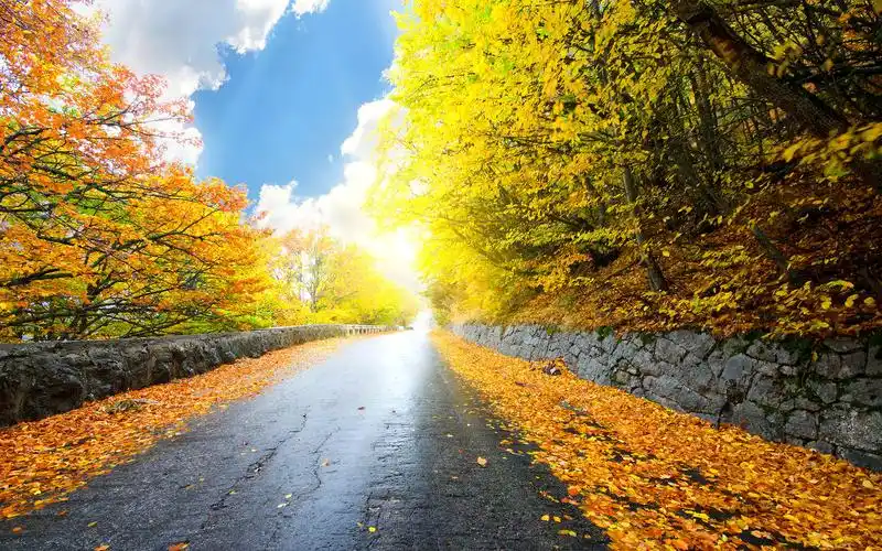 秋季风景唯美枫叶图片桌面壁纸