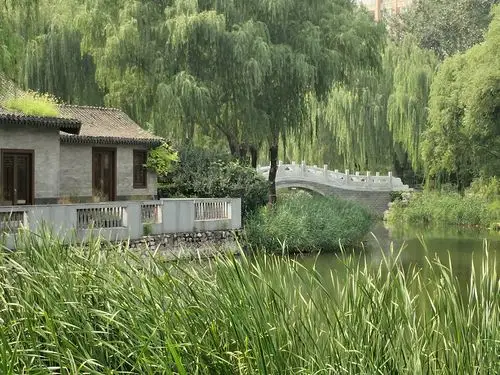 8.13.柳荫公园美景