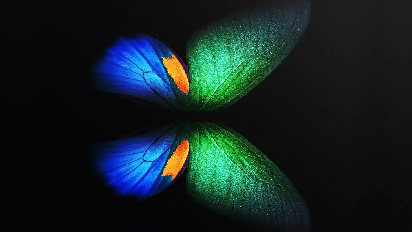 三星galaxyfold炫彩高清桌面壁纸