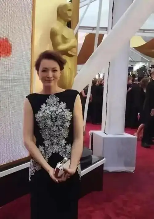 董卿美到国外去了一身黑色刺绣长裙配盘发东方美人惊艳全场