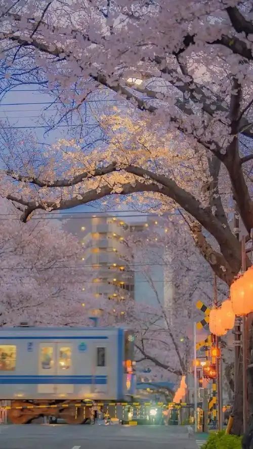 旅游的文案怎么写简短有意境的旅游文案推荐