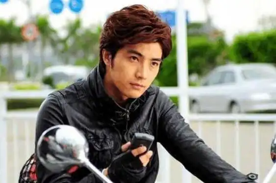 台湾十大80后男演员彭于晏第一周渝民郑元畅上榜3