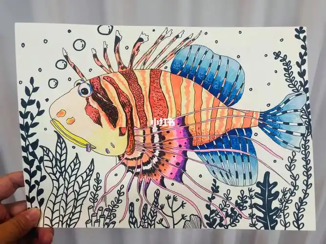 临摹线描狮子鱼鱼